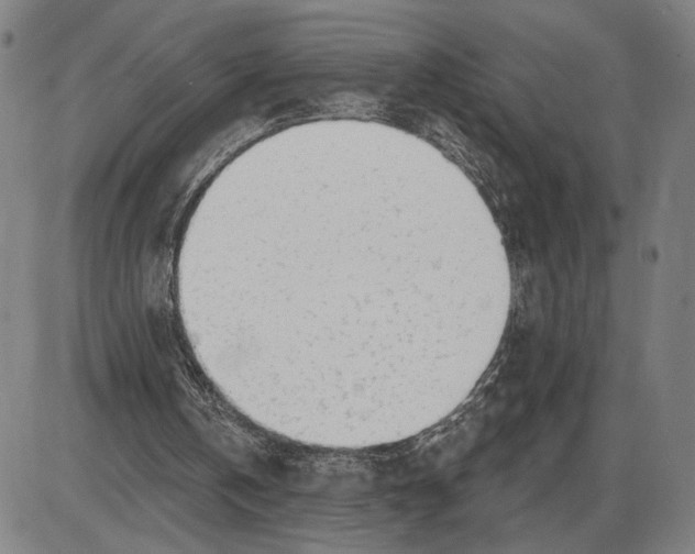 X0000085000146200703261138