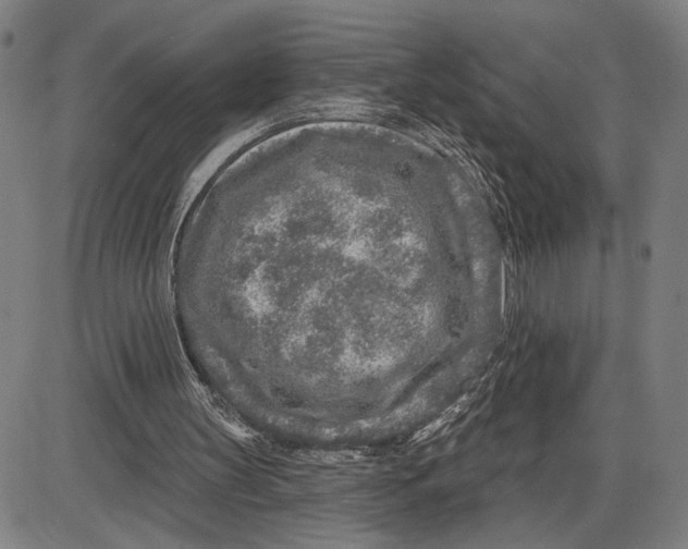 X0000085000147200703261138