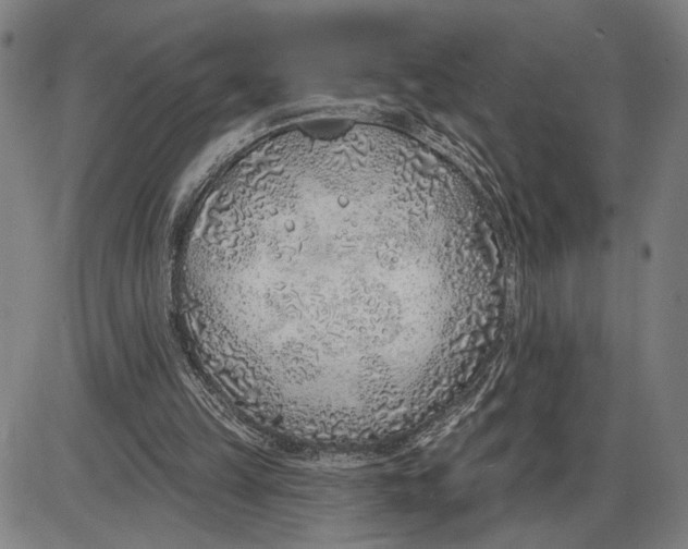 X0000085000149200703261138