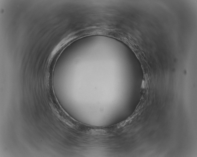 X0000085000150200703261138