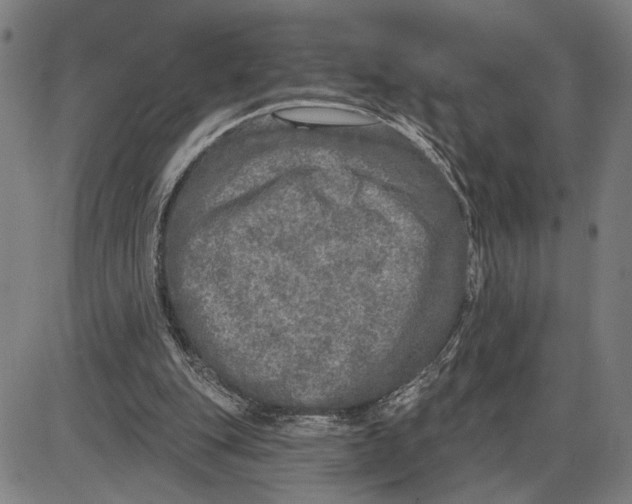 X0000085000151200703261138