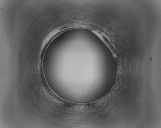 X0000085000152200703261138