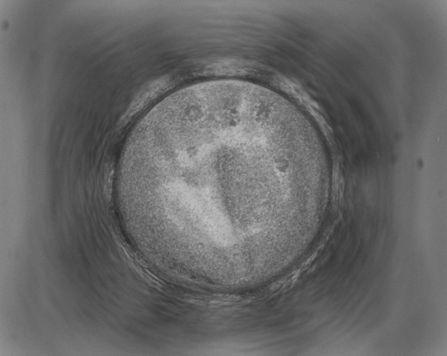 X0000085000153200703261138