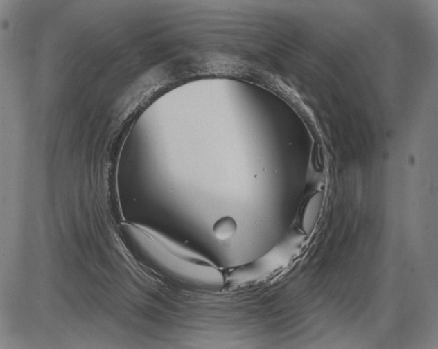 X0000085000154200703261138