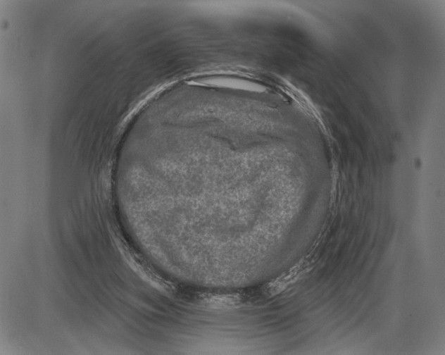 X0000085000155200703261138