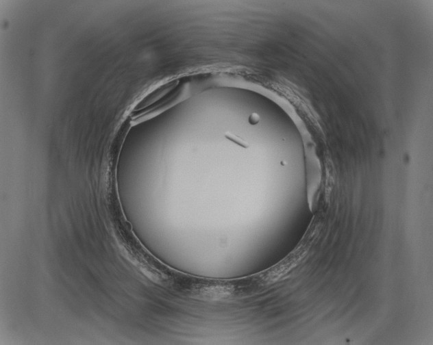 X0000085000156200703261138