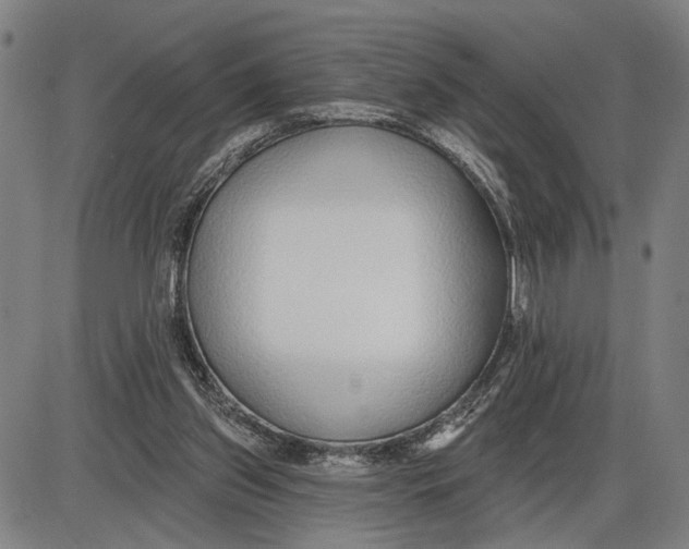 X0000085000157200703261138