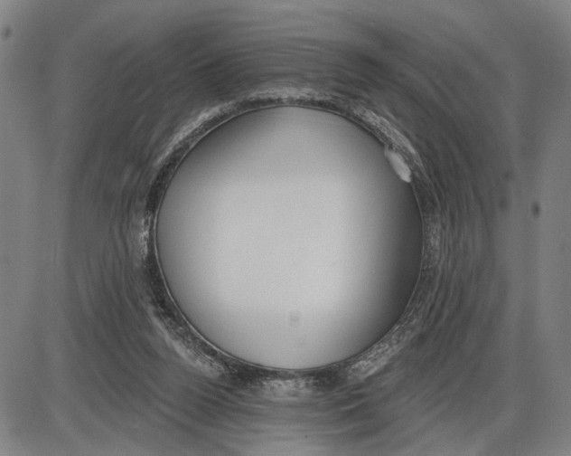 X0000085000160200703261138