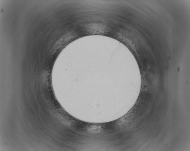 X0000085000162200703261138