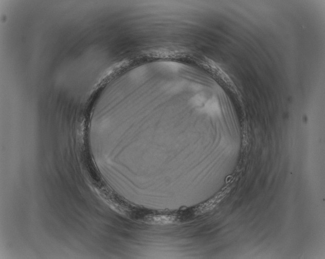 X0000085000163200703261138