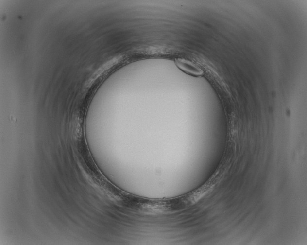 X0000085000164200703261138