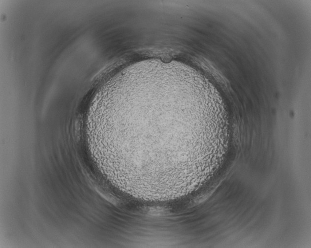 X0000085000165200703261138