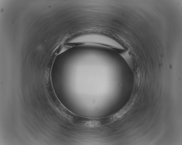 X0000085000168200703261138