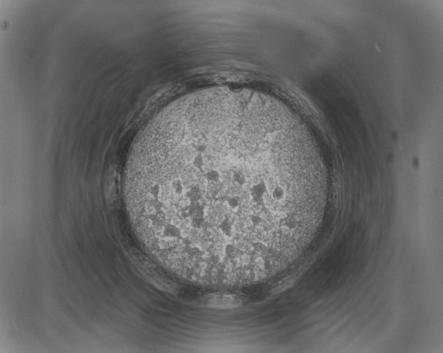 X0000085000169200703261138