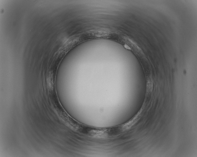 X0000085000170200703261138