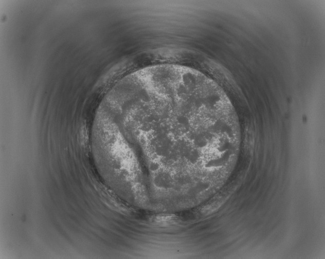 X0000085000173200703261138