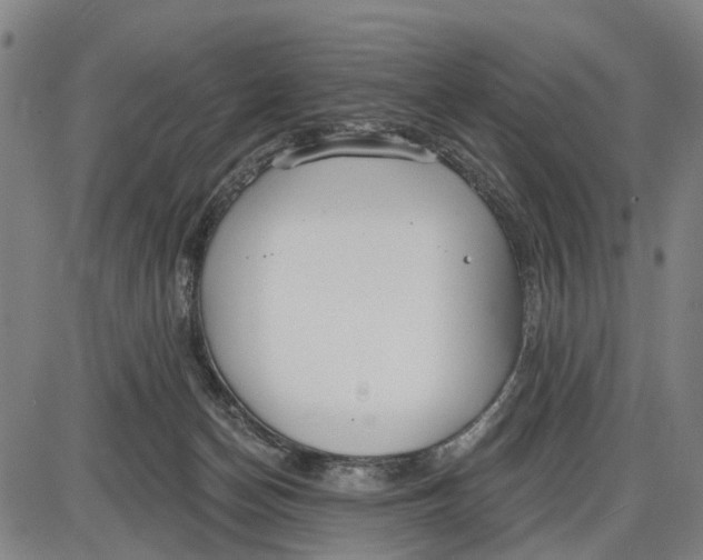 X0000085000174200703261138