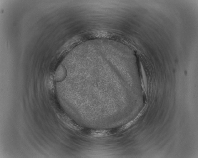 X0000085000175200703261138