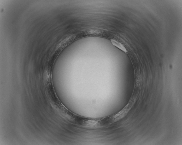 X0000085000176200703261138