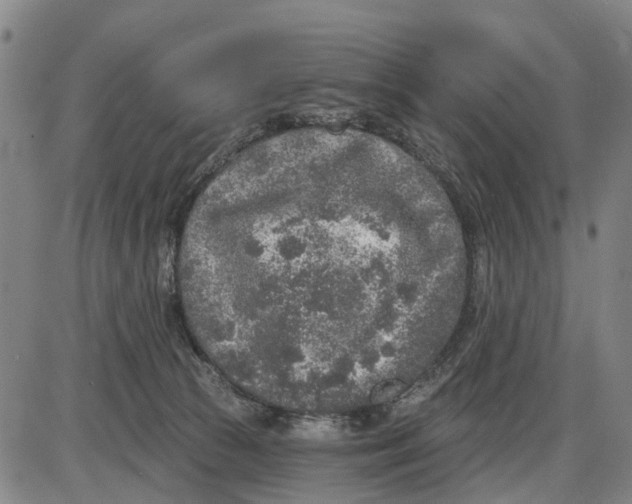 X0000085000177200703261138