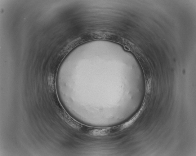 X0000085000178200703261138