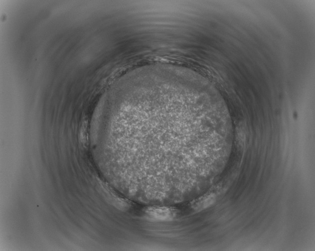 X0000085000181200703261138