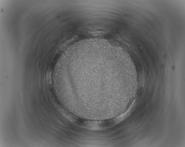 X0000085000182200703261138