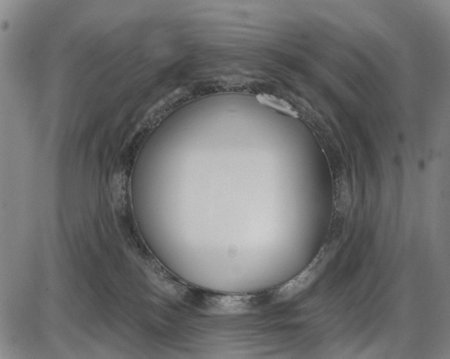 X0000085000184200703261138