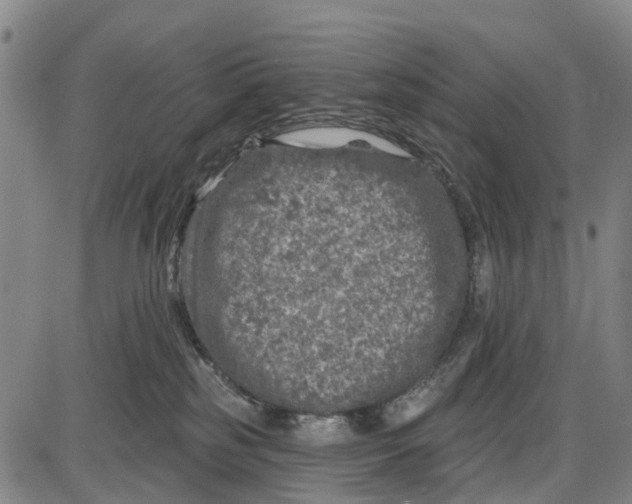 X0000085000185200703261138