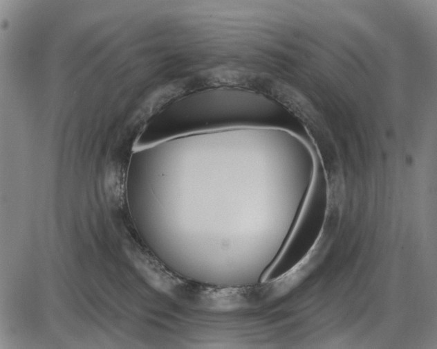 X0000085000186200703261138