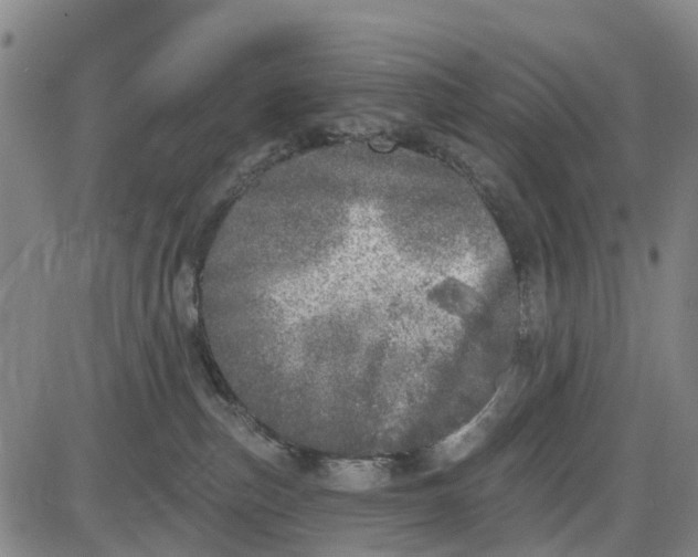 X0000085000187200703261138