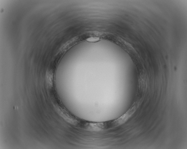 X0000085000188200703261138