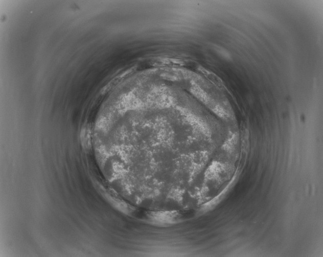 X0000085000191200703261138