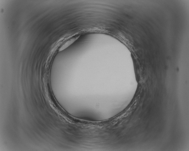 X0000085000193200703261137