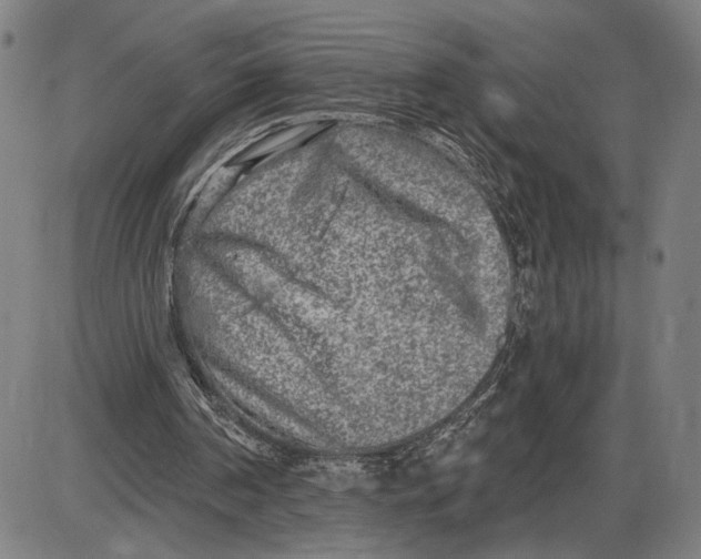 X0000085000194200703261137