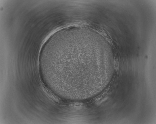 X0000085000196200703261137