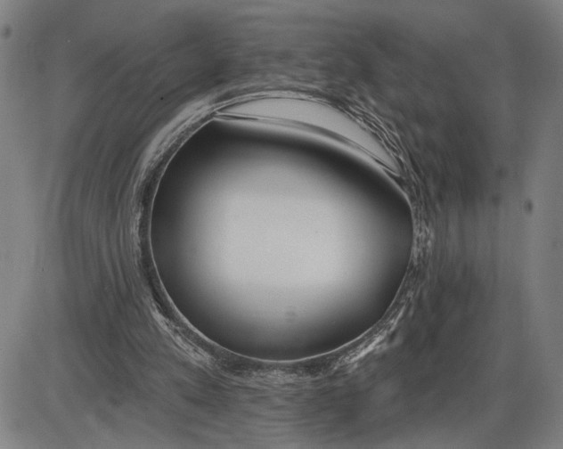 X0000085000197200703261137