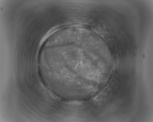 X0000085000198200703261137