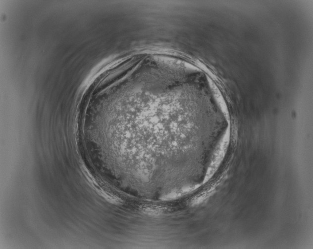 X0000085000199200703261137