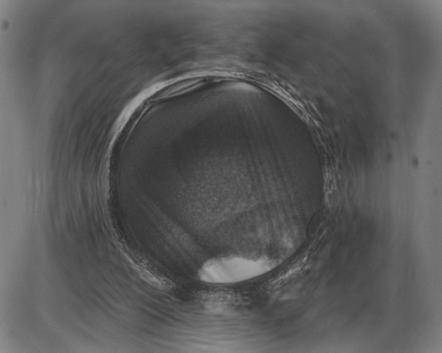 X0000085000200200703261137