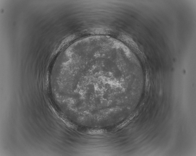 X0000085000202200703261137