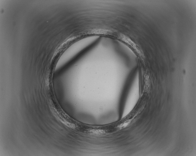 X0000085000203200703261137