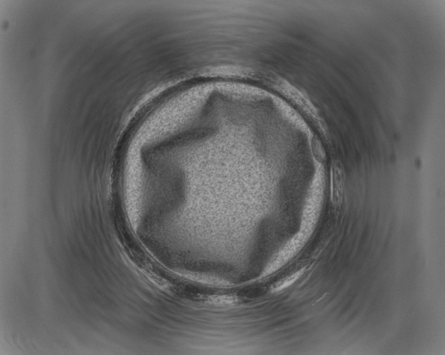 X0000085000204200703261137