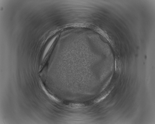 X0000085000205200703261137