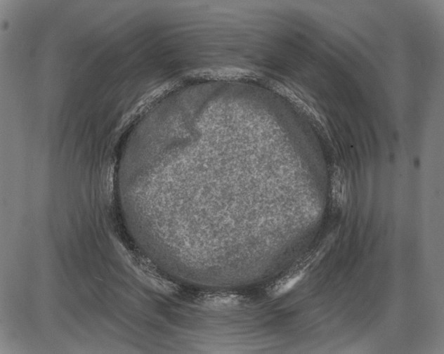 X0000085000206200703261137