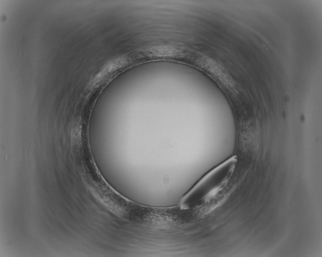 X0000085000207200703261137