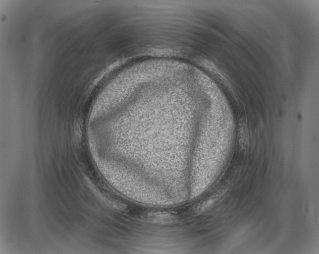 X0000085000208200703261137