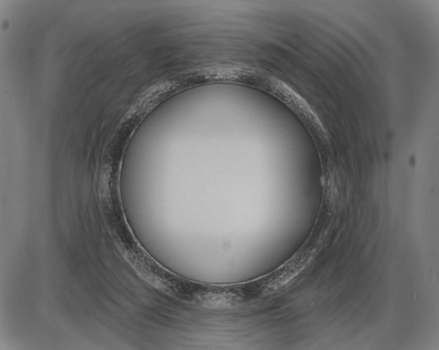 X0000085000209200703261137