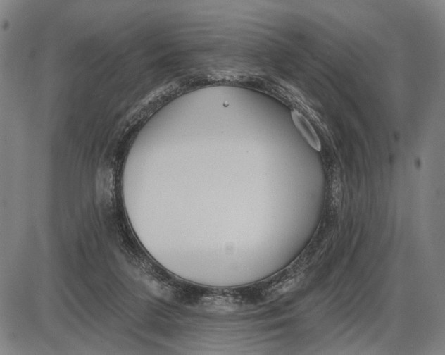 X0000085000211200703261137