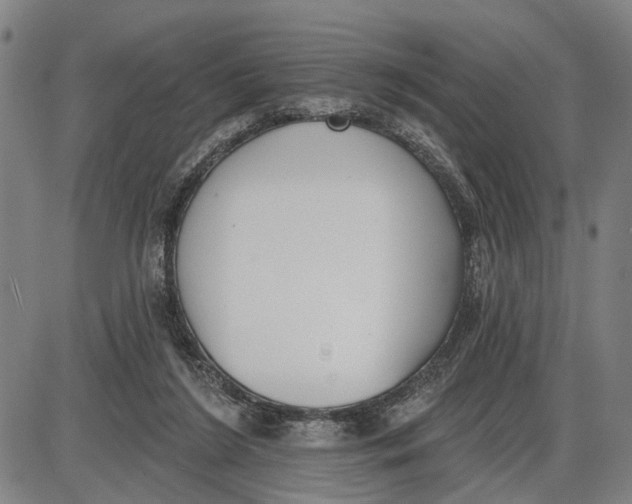 X0000085000212200703261137